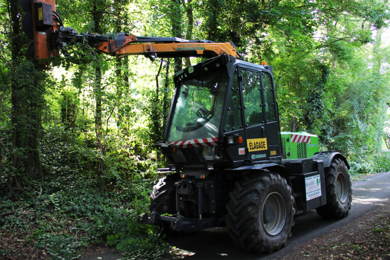 Taille en rideau arbre collectivité