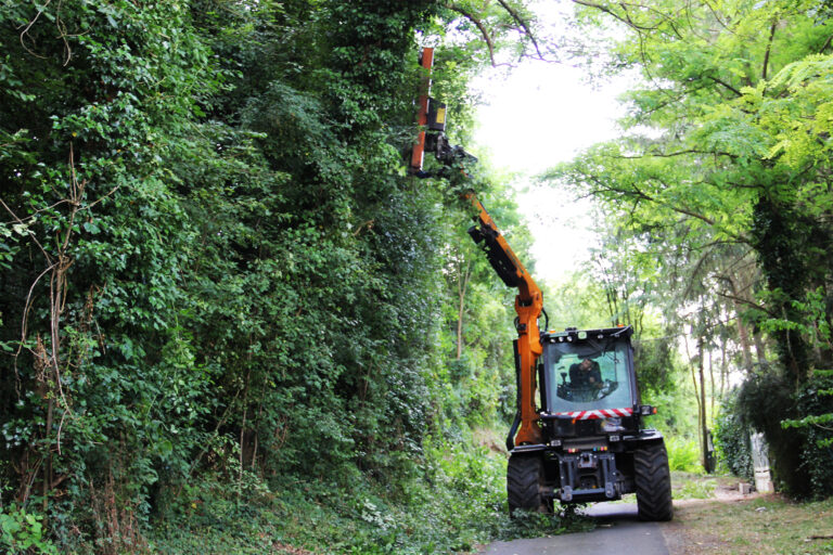 Taille en rideau normandie
